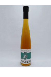 Orchid Cellar Duchess