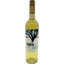 Punta Pays Viognier